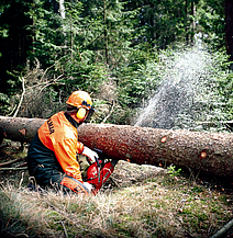 Ein Waldarbeiter sägt mit der Motorsäge knieend einen Baumstamm durch.